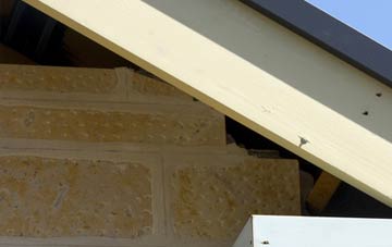 soffit repair Rhosddu