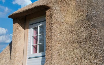 Rhosddu thatch roof disadvantages